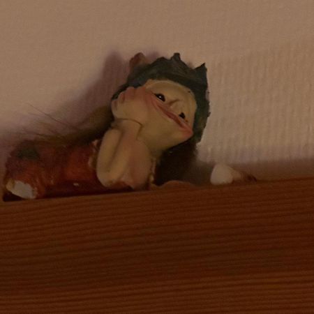 Trollhus - Grosses Familienfreundliches Ferienhaus Born Εξωτερικό φωτογραφία