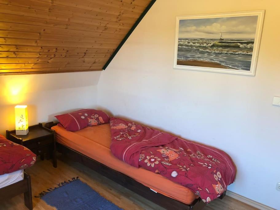 Trollhus - Grosses Familienfreundliches Ferienhaus Born Εξωτερικό φωτογραφία