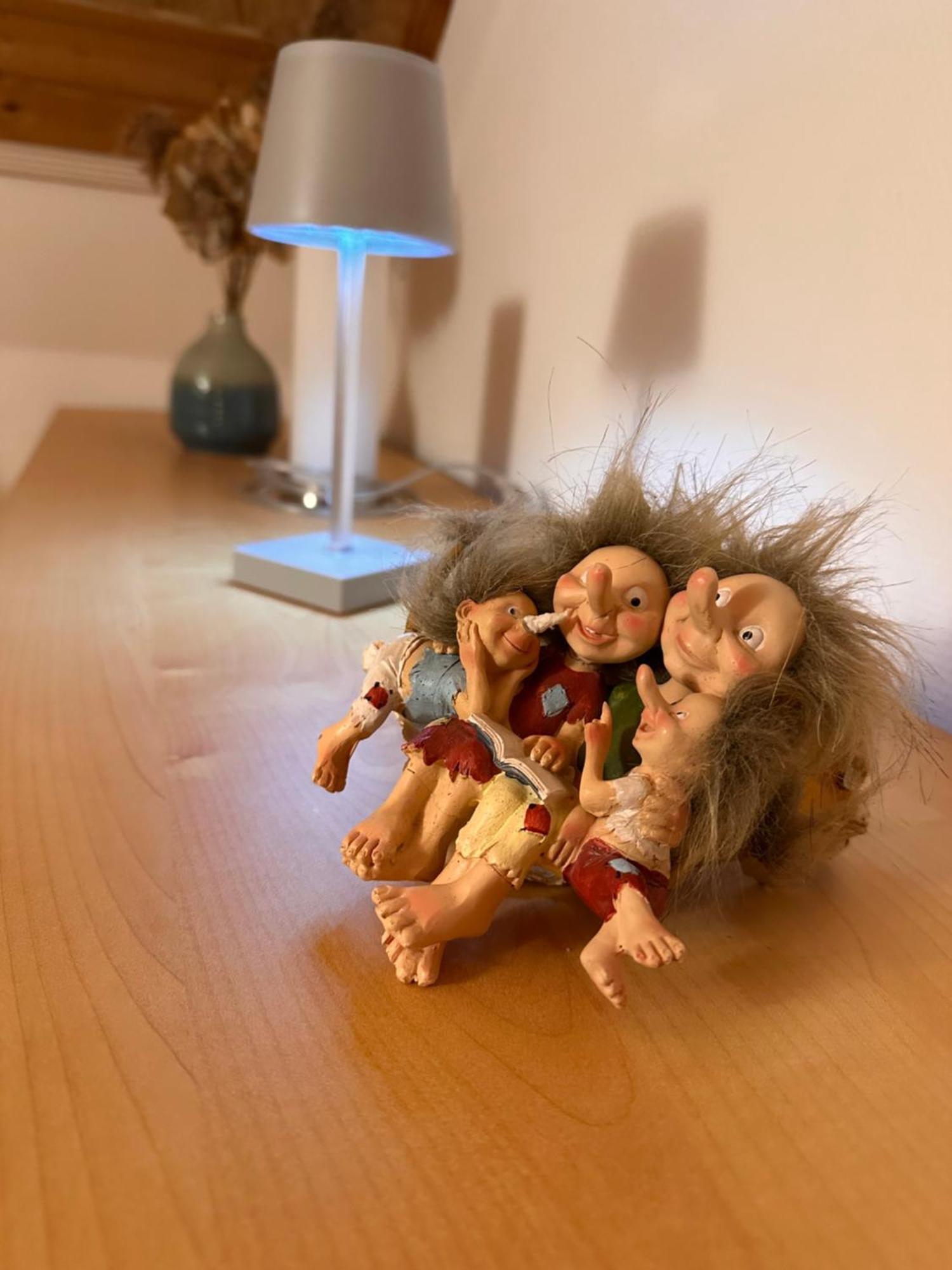 Trollhus - Grosses Familienfreundliches Ferienhaus Born Εξωτερικό φωτογραφία